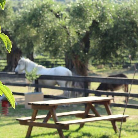 Honigtal Farmland Villa Agios Georgios Pagon Exterior foto