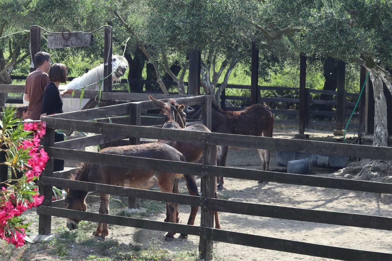 Honigtal Farmland Villa Agios Georgios Pagon Exterior foto